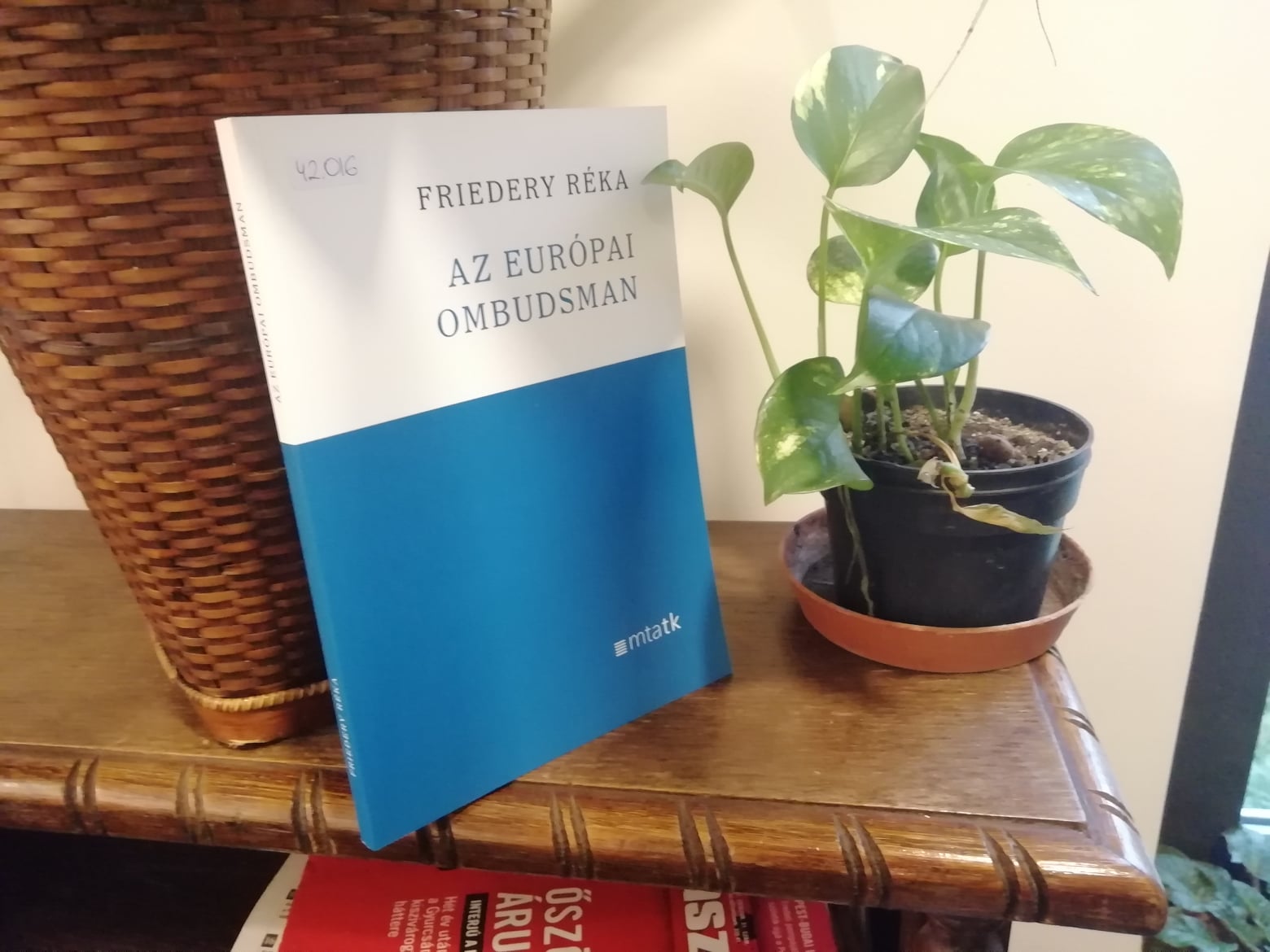 Az európai ombudsman 