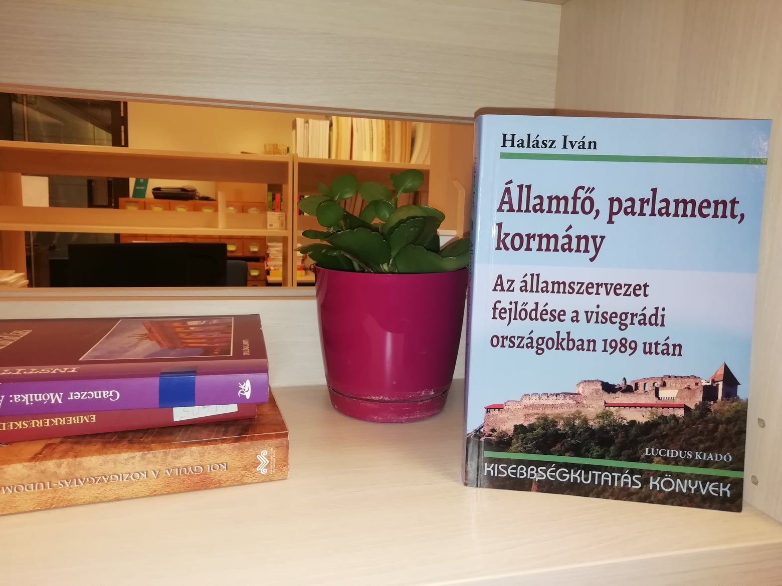 Államfő, parlament, kormány. Az államszervezet fejlődése a visegrádi államokban 1989 után