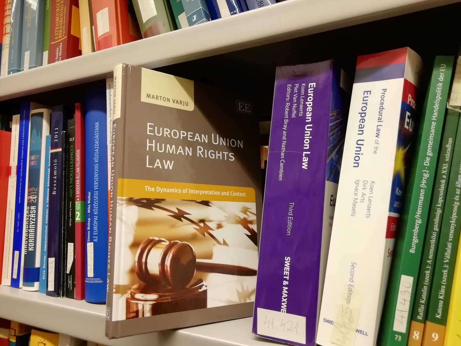 European Union Human Rights Law