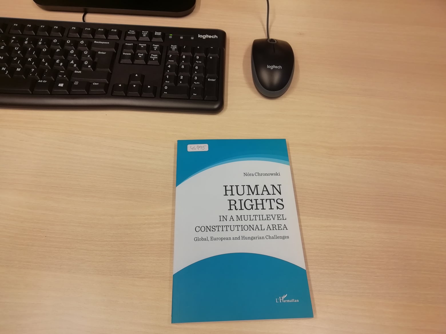Human rights in a multilevel constitutional area